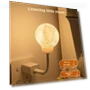 Smart Moon Night Light with Voice Control and Timer — Night Lights, Got Now