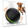 Smart Self-Bouncing Interactive Dog Ball — Balls, Pawstrip