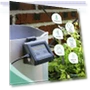 Smart WiFi Watering Device with Dual Pump — Automatic Irrigation, COOKING-MALL