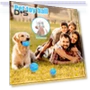 Automatic Jumping LED Ball for Dogs — Balls, Kitty Cat House