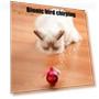 Automatic Moving Balls — Cat Playthings, Vogue Wardrobe
