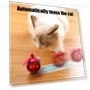 Automatic Moving Balls — Balls, Uomobo