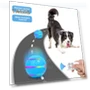 Electric Rolling Ball Toy for Dogs — Automatic Launchers, Beautybay