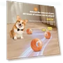 LED Pet Rolling Ball — Interactive Animal Companions, BestDealJoy