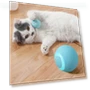 Smart Ball Interactive Cat Toy — Balls, Simple and warm