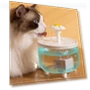 Automatic Pet Water Fountain — Fountains, The Secret Life of Pet