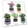 Smart Plant Pot — Controllers, Good Household Items