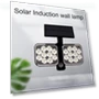 Solar Power Sensor Light — Garden Illumination, Blackcurrant