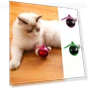 Automatic Smart Ball for Cats — Balls, Jinkuinduy