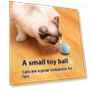 Automatic Rolling Ball Pet Toy — Interactive Animal Companions, Wotypea