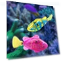 Interactive Electric Fish Toy — Interactive Animal Companions, JOHO - CarGear