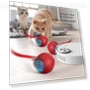 Interactive Smart Ball for Cats — Cat Playthings, Xinsheng