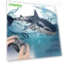 Remote Control Shark Kit Spray Water Toy — Beach Toys, Specials