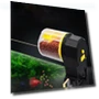 Automatic Fish Feeder — Feeders, Boyuan