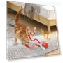 Interactive Self-Moving Electronic Smart Ball for Pets — Interactive Animal Companions, Boyuan