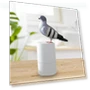 Automatic Foam Soap Dispenser — Care Dispensers, Closet of Beauty