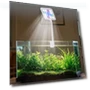Aquarium LED Clip Light with 360° Rotation — Lights, Jiaqiinfee