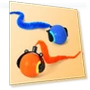 Automatic Smart Pet Toys — Cat Playthings, PYduole