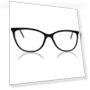 Cat Eye Black Fashion Women Eyeglasses — Eyeglass Cases, SmartBuy Collection