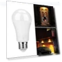 LED Light Motion Sensor Globe Bulb — Lighting Solutions, Clean Products