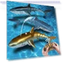 Remote Control Shark Submarine Robot — Aquatic Vehicles, qijuestate