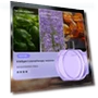 Smart Aromatherapy Machine — Air Moisturizers, sunshine888