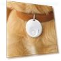 Message Reminder Pet Smart GPS Tracker Mini Pet Locator Portable Find My Device Tracker Backpack — Location Tracking Devices, Cmjyrtye