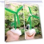Solar Robot Toy Kit 6-in-1 — Solar Power, Sports Accessory