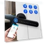 Biometric Door Lock with Security Function — Biometric Security, The Romantics