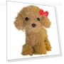 Comfortable Life: Talkative Animal-Robot (Fluffy Toy Poodle) — Interactive, hayatospeed