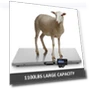 Smart Pet Scales — Baby Scales, Discount Domain