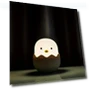 Chick Egg Night Light — Night Lights, Binchi Lighting Appliances