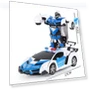 Electric Remote Control Car — Remote Control Cars, Holland Zho
