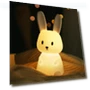 LED Night Light — Lamps & Shades, Binchi Lighting Appliances