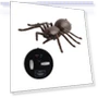 Remote Control Spider Toy — Interactive Figures & Robots, Happiness First