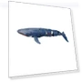 Smart Remote Control Shark — Aquatic Vehicles, Pretty life