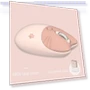 Bluetooth + 2.4G Wireless Mouse — Computer Mice, Bellatrix