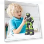Intelligent Voice Robot — Interactive Figures & Robots, Challenge