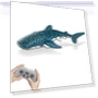 Remote Control Shark Spray Water Toy — Aquatic Vehicles, AE Selection