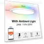 RGB Smart Ceiling Lamp — Overhead Lighting, Rainbow Rain