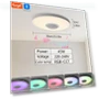 Smart Audio Ceiling Light — Overhead Lighting, Rainbow Rain