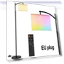 Smart Floor Lamp WiFi LED Modern RGB Adjustable — Standing Lights, Build My Home
