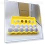 Smart Puzzle Egg — Infant & Early Childhood Playthings, WoW Area