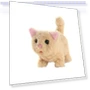 Robotic Simulated Pet Cat — Cameras & Monitors, Precious watch