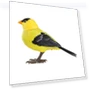 Voice and light controlled fun bird imitation toy — Interactive Learning Devices, Shredded cabbage
