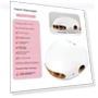 Smart Hand Massager — Back Relief Solutions, Saint Health Care