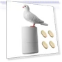 Automatic Soap Dispenser — Care Dispensers, House & Kitchen