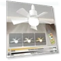Ceiling Fan with LED Lighting — Ceiling Fan Lighting Solutions, Aloisia