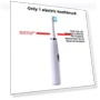 Electric Toothbrush for Adults — Rotating Electric Toothbrushes, Binchi Health Technology