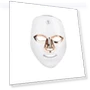 LED Skin Rejuvenation Mask — Sets & Kits, Binchi Health Technology